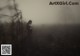 A woman standing in a field in the fog.